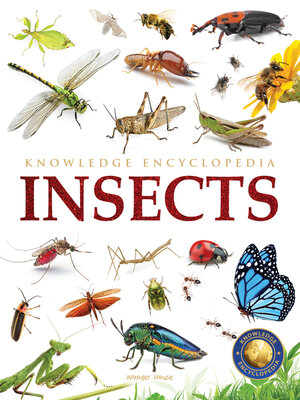 cover image of Animals--Insects